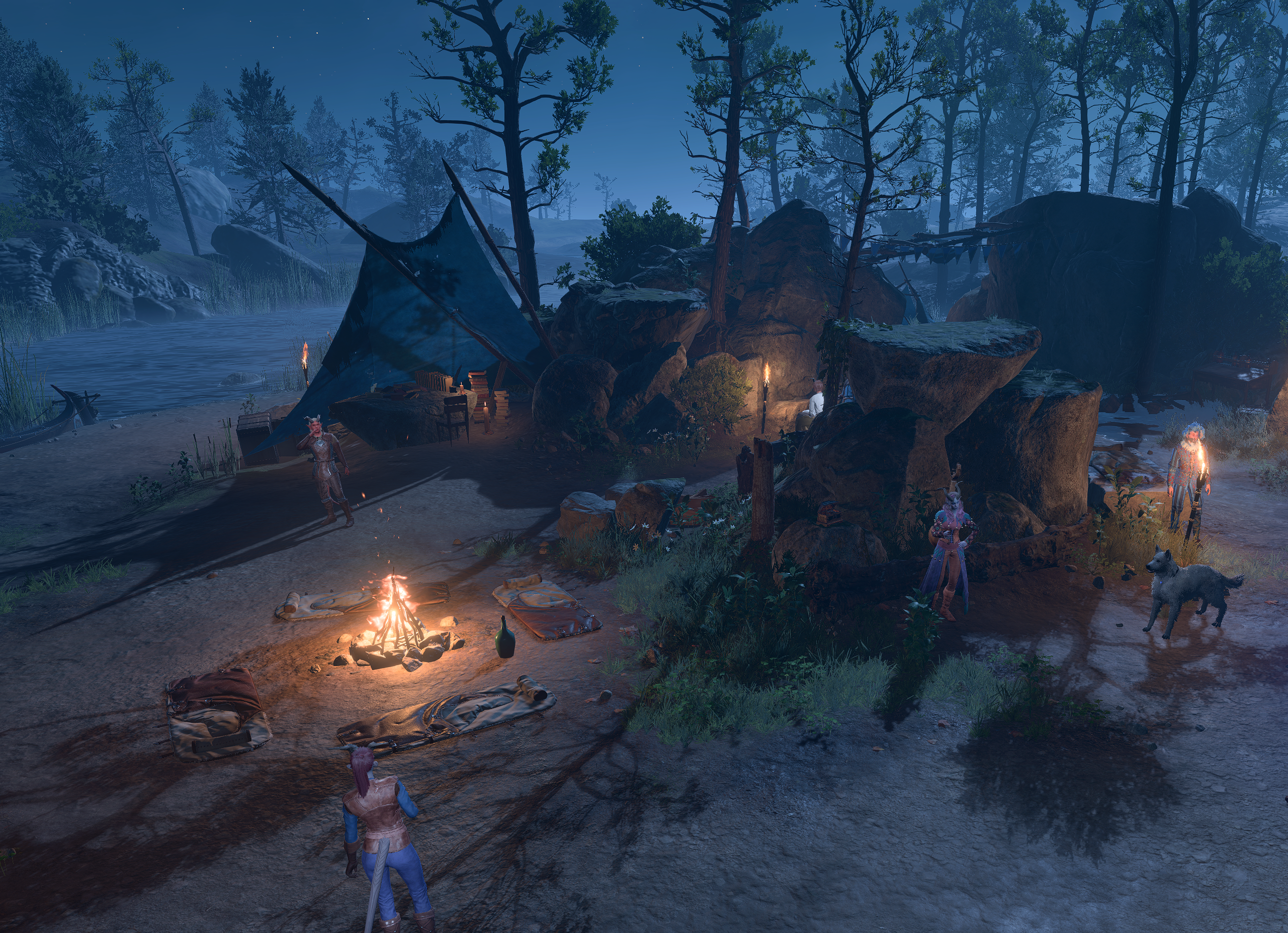 Baldur's Gate 3 — camp at night