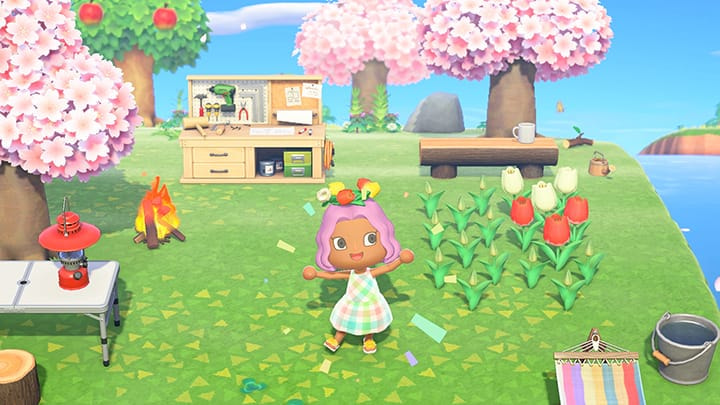 Animal Crossing: New Horizons — daily routine